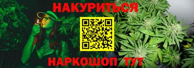 сатива Донецк