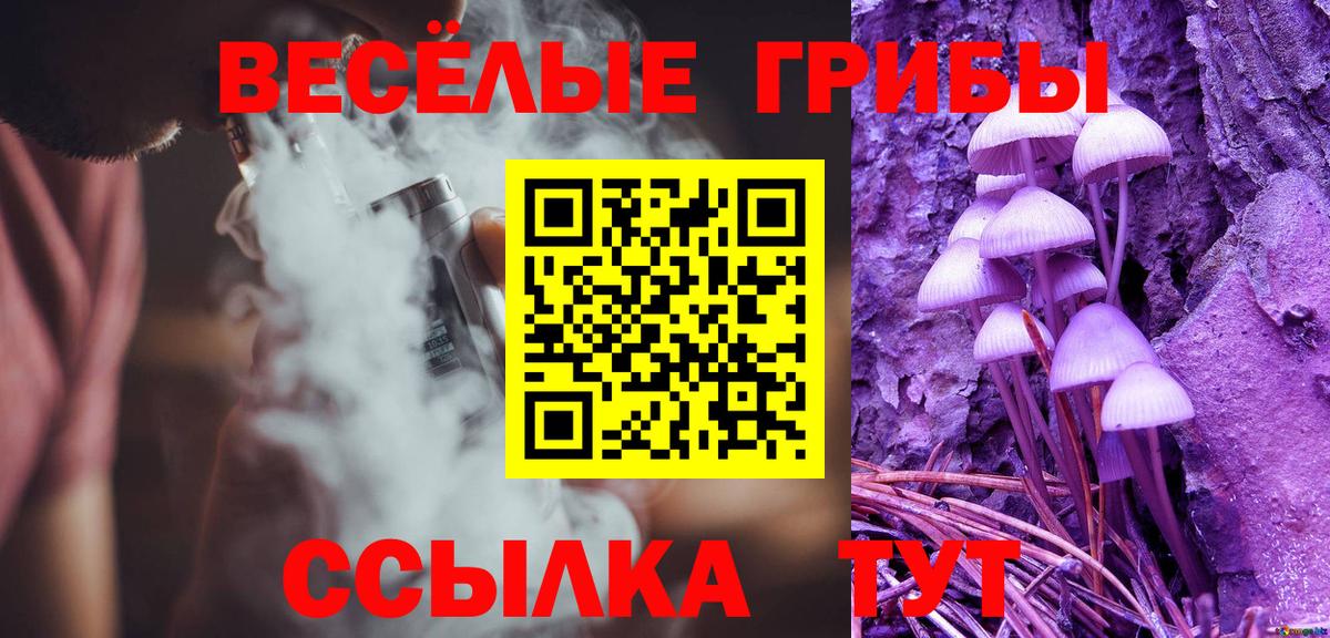 Псилоцибиновые грибы MAGIC MUSHROOMS  Вход с VPN  Луга  Псилоцибиновые грибы прущие грибы 
